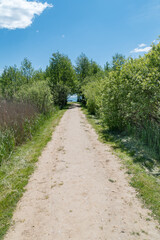Fototapeta na wymiar Path to the Sniardwy lake in the summer.