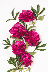 Beautiful burgundy pink peonies stand in a round vase on the table. Light background selective focus. Vertical frame