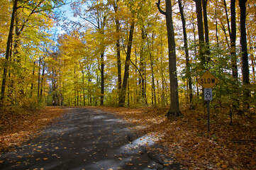 Country road with road signs and trees on both sides, King City, Ontario, Canada.
