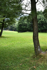 Beautiful Landscape view at Pahalgam kashmir India.