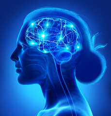 Obraz premium 3d rendered, medically accurate illustration of a female active brain