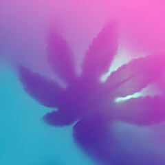 Bright color shadow of leaf marijuana on trendy blue pink blurred background.