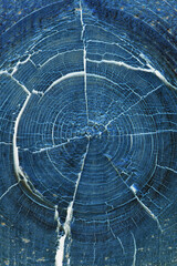 Dark blue abstract vertical background or wallpaper. Inverted picture. Cracked bough on an old dried wooden board close-up. Top view from above. Macro