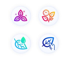 Leaf dew, Fair trade and Leaves icons simple set. Button with halftone dots. Organic tested sign. Water drop, Leaf, Grow plant. Paraben. Healthcare set. Gradient flat leaf dew icon. Vector