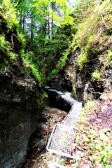 Slovak Paradise National Park, Slovakia. The trail goes on river bed among fallen trees and on...