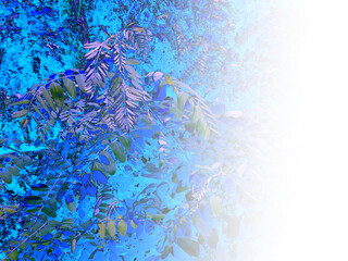 foliage © neurostructure