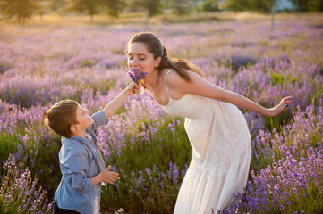 funny little caucasian boy allow to smell lavender bouquet to his young happy mother on summer blooming field