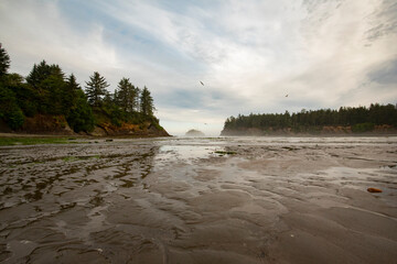 Oregon Coast