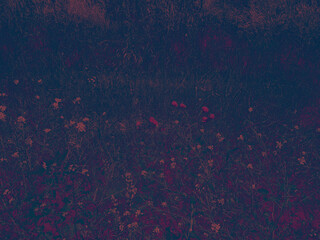 foliage © neurostructure