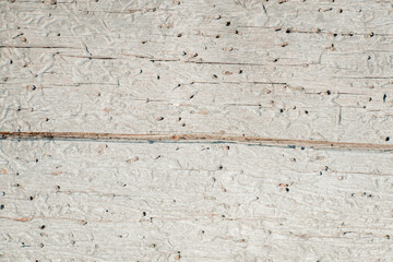 Old faded dull pine natural wood background