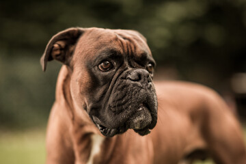 selfie friends group bachelor party men emoji mask