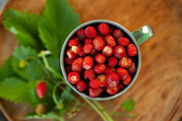 Forest strawberries in a metal Cup on a wooden tray top view. Concept of berries, walking in the forest, summer.