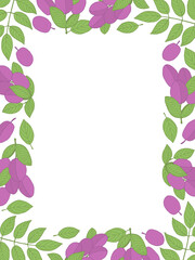 Victoria plums frame on white background. Hand drawn post card. Stock vector illustration.