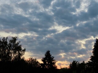 Fototapeta na wymiar Clouds and tree silhouettes 