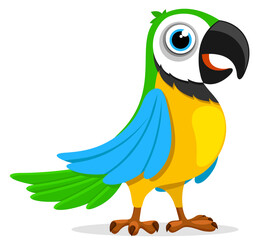 A multi-colored parrot stands on a white. Exotic bird