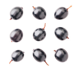 Black currant set on a white background. The view from top