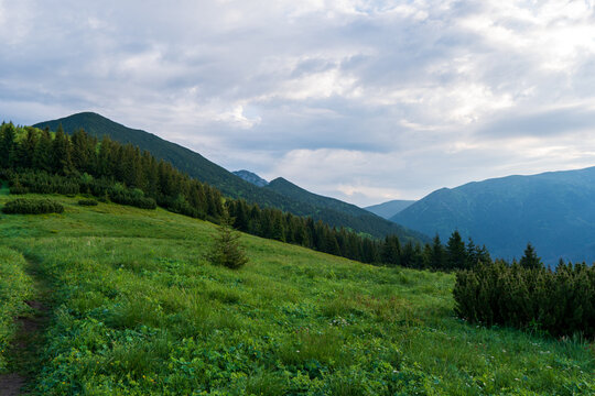 Slovakia mountain in West Tatras - Salatin Brestova