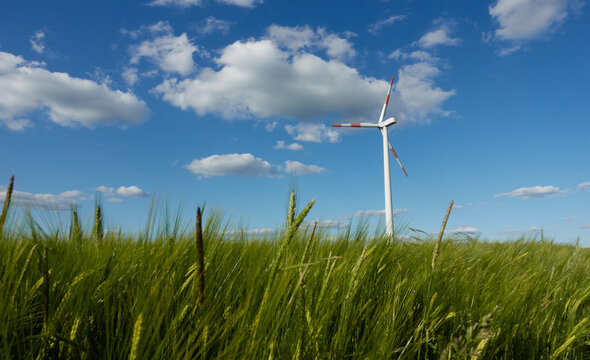 Wind turbine in front of green wheat field, some stalks protrude far into the picture, blue sky with gray clouds. Blurred motion. Stoetten, Germany.