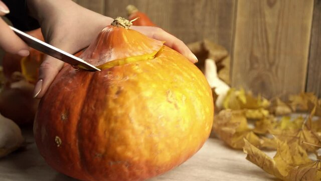 Girl's hands cut off top of the pumpkin to make a lantern for Halloween. Theme of traditional Hobbies in autumn and cutting out lanterns from vegetables. Mystical traditions in Halloween decorations.