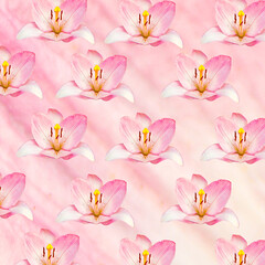 Naklejka na ściany i meble Flowers pattern background on the pink background.