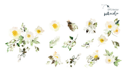 Set of vector watercolor elements with flowers anemone