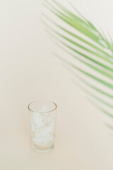 아레카 야자 잎과 얼음 유리컵