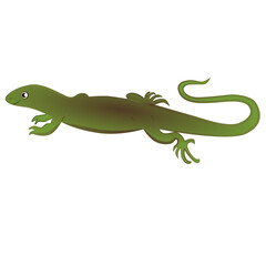 Cartoon green lizard on a white background.