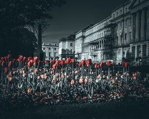 CHELTENHAM AREA LOCKDOWN 2020