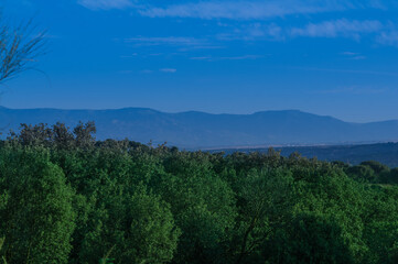 Obraz premium las drzewa zieleń przyroda liście niebo niebieskie