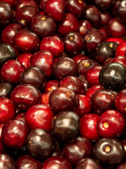 Tasty cherries prepared in the box to be sold. Red fruit.