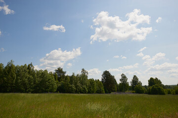 Forest blue river water landscape. Blue river water flow in forest. Forest river landscape. River in forest
