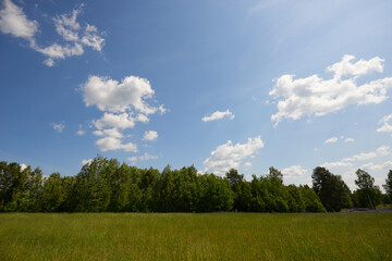 Forest blue river water landscape. Blue river water flow in forest. Forest river landscape. River in forest