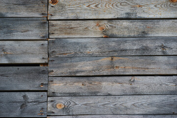 wood texture. Abstract wood texture background.
