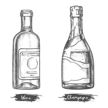 Alcohol drink bottles sketch of wine and champagne