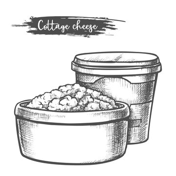 Dairy Products, Cottage Cheese Sketch, Milk Food