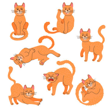 Cartoon Color Cat Icon Set with Lineart Elements. Vector
