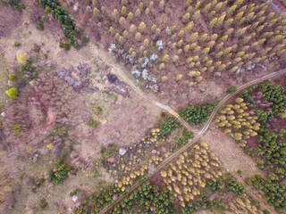 Early spring top down drone landscape.