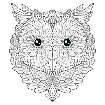 Owl head vector graphic, adult coloring page mandala