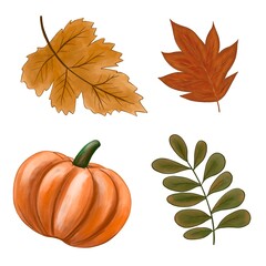Set with autumn leaves and pumpkin. Isolated on a white background. Collection of autumn items for design.