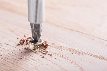 screwdriver screw in a wood oaks plank