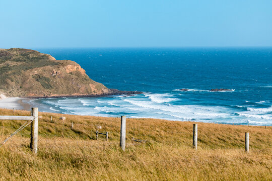 Sandfly Beach, New Zealand