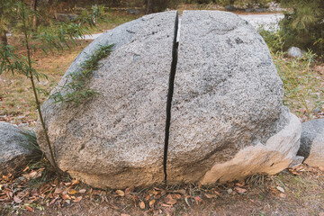 cracked boulder in park
