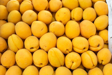 Beautiful picture with a lot of big, fresh, yellow apricot sold on the market.