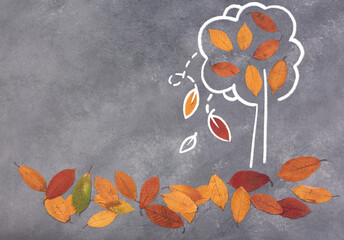 Chalk drawing of autumn concept on blackboard