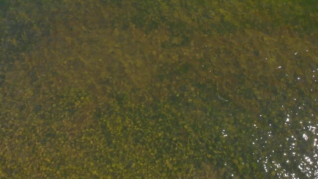 Drone flying from water surface with see thru water and rockey bottom.