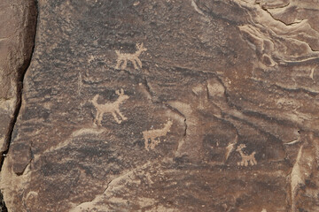 Ancient Native American Indian rock art petroglyph animals Utah 1488. Nine Mile Canyon, Utah. World’s longest art gallery of ancient native American, Indian rock art, hieroglyphs, pictographs.