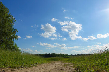 Fototapeta na wymiar Beautiful summer landscape. Blue sky with clouds. Field with green grass