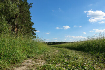 Fototapeta premium Summer landscape with green grass, road and clouds