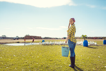 Farmer woman feeding the geese