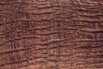 Light brown texture of the wall background